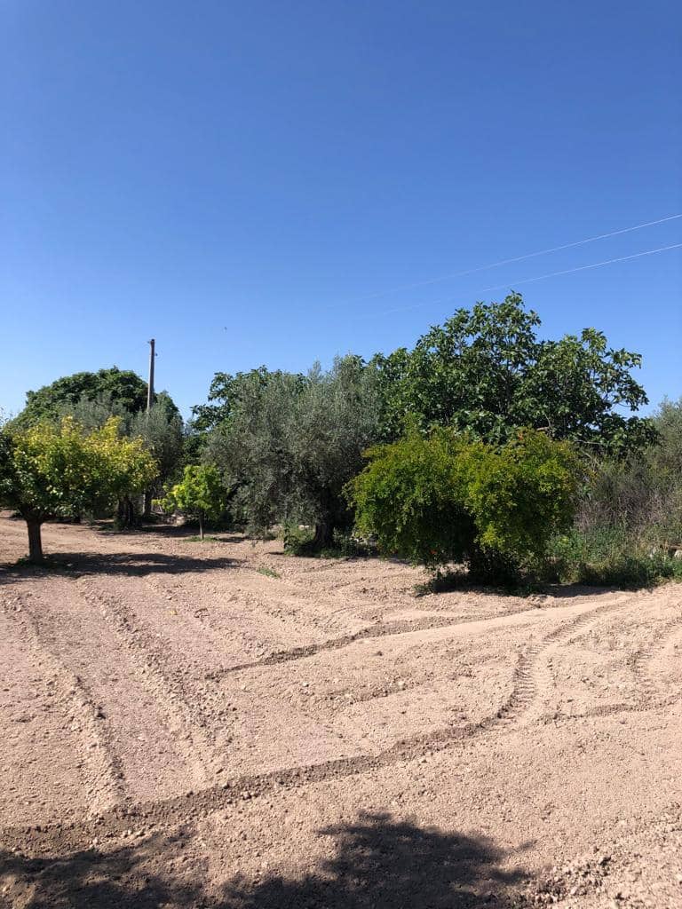 3 sypialnia Dom na sprzedaż w Velez-Blanco - 149 000 € (Ref: 7868828)