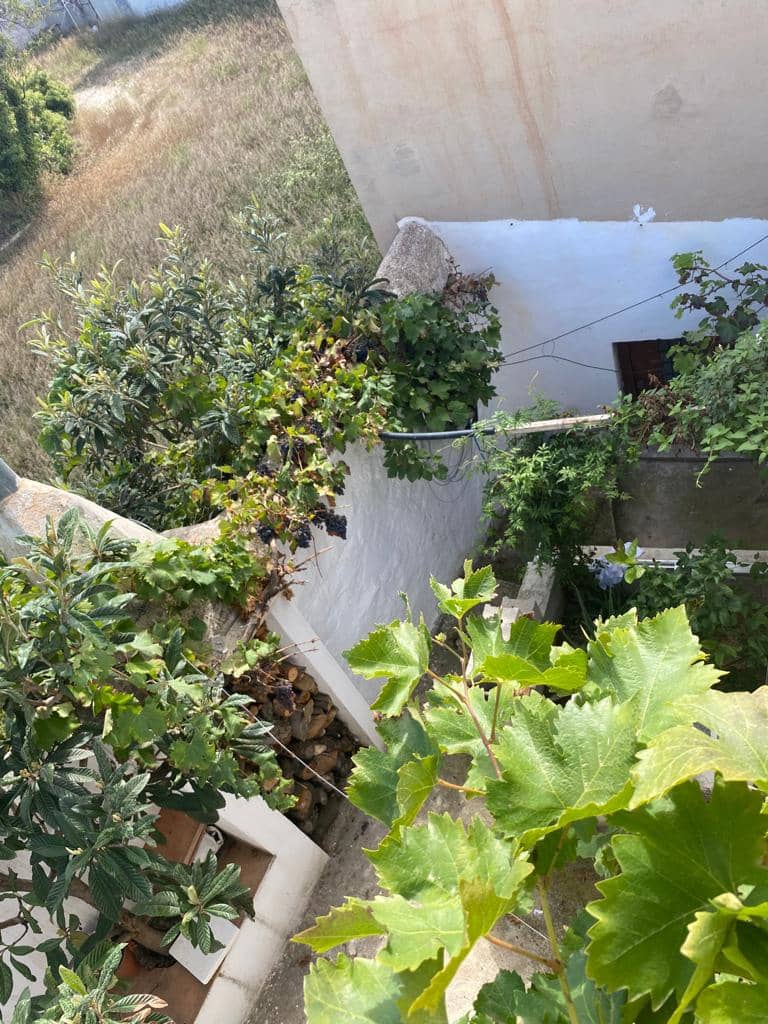 4 sypialnia Dom na sprzedaż w Velez-Blanco - 93 000 € (Ref: 7868846)