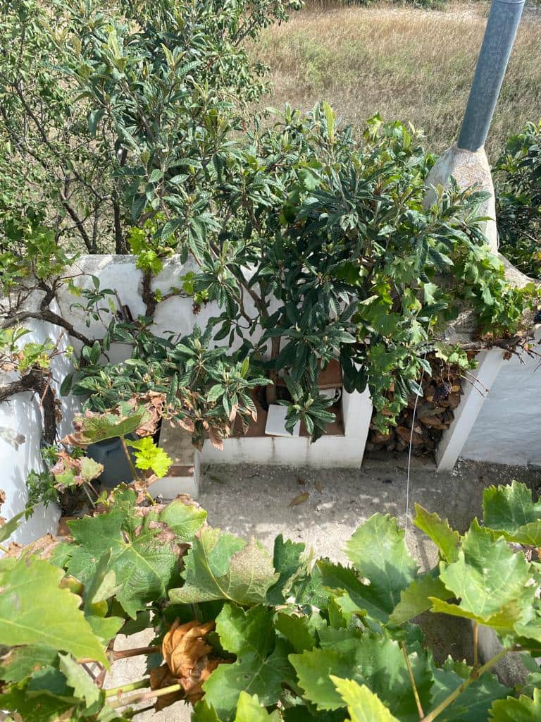 4 sypialnia Dom na sprzedaż w Velez-Blanco - 93 000 € (Ref: 7868846)