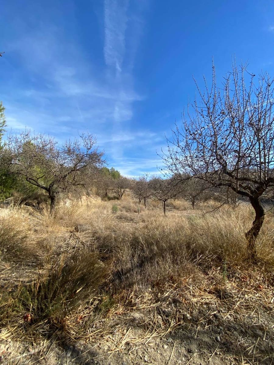 1 chambre Maison de Ville à vendre à Velez-Rubio avec piscine - 62 900 € (Ref: 7868847)