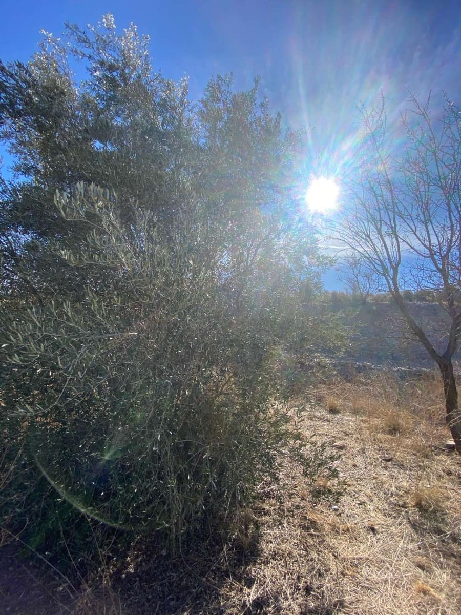 1 chambre Maison de Ville à vendre à Velez-Rubio avec piscine - 62 900 € (Ref: 7868847)