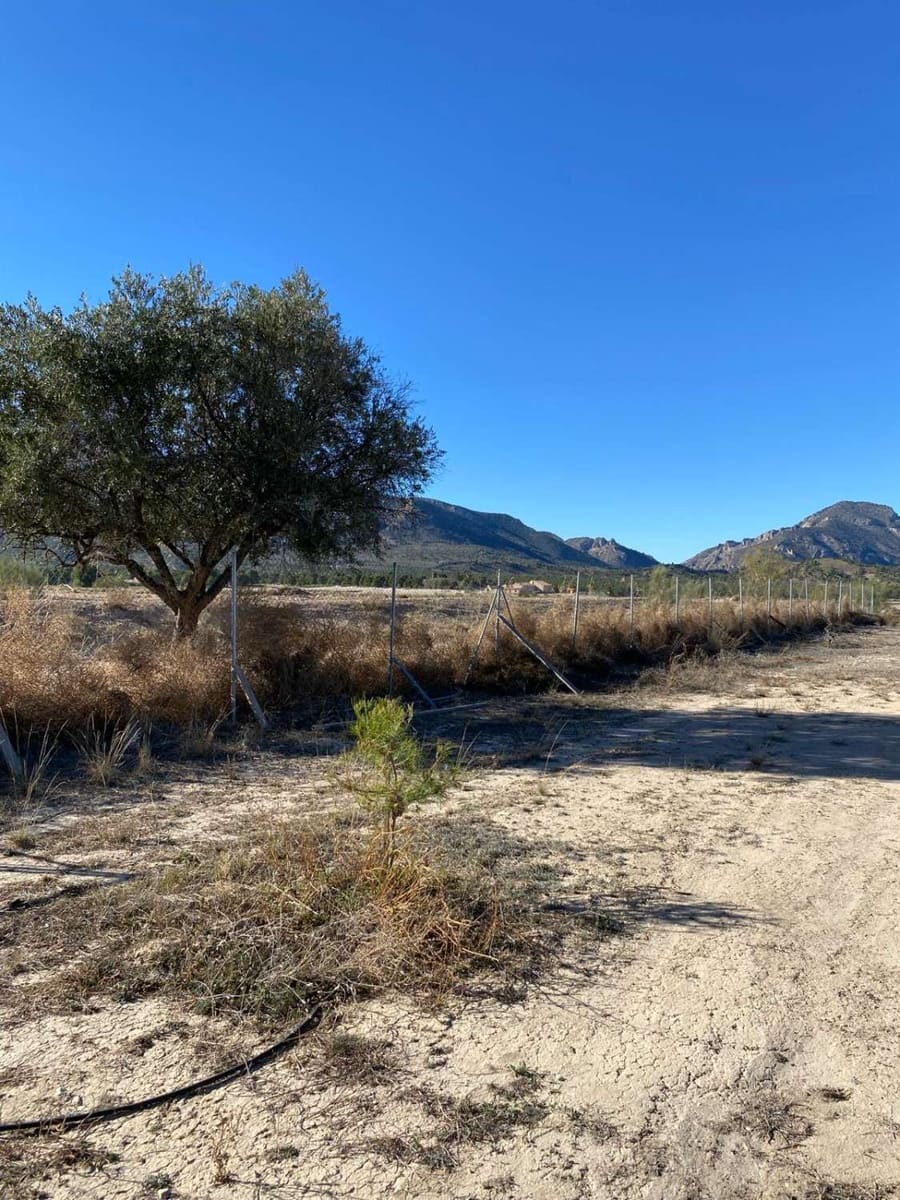 4 soverom Finca/Herregård til salgs i La Parroquia med svømmebasseng - € 215 000 (Ref: 7868849)