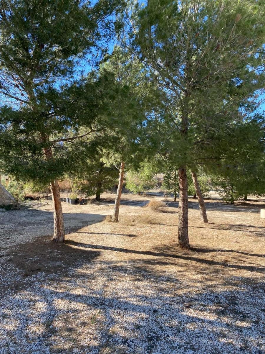 4 soverom Finca/Herregård til salgs i La Parroquia med svømmebasseng - € 215 000 (Ref: 7868849)