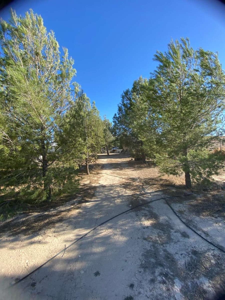 4 soverom Finca/Herregård til salgs i La Parroquia med svømmebasseng - € 215 000 (Ref: 7868849)