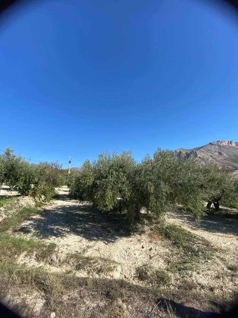 2 makuuhuone Omakotitalo myytävänä paikassa Velez-Blanco - 45 000 € (Ref: 7868853)