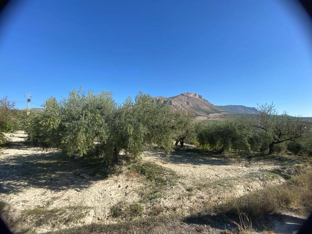 2 makuuhuone Omakotitalo myytävänä paikassa Velez-Blanco - 45 000 € (Ref: 7868853)