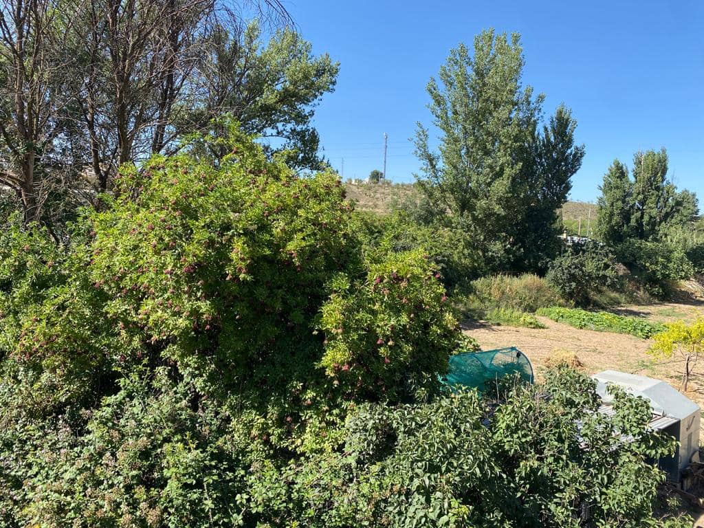 5 bedroom Townhouse for sale in Chirivel - € 97,000 (Ref: 8070326)