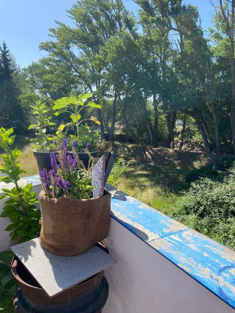 5 bedroom Townhouse for sale in Chirivel - € 97,000 (Ref: 8070326)