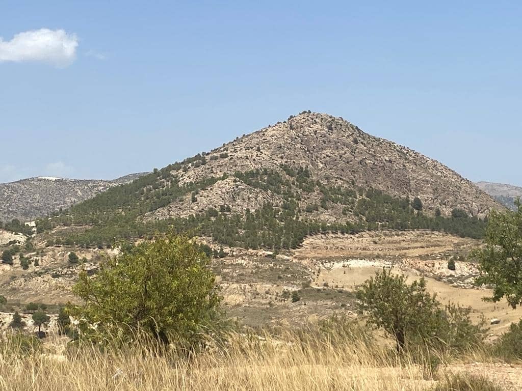 3 sypialnia Dom na sprzedaż w Velez-Blanco - 79 000 € (Ref: 8070329)