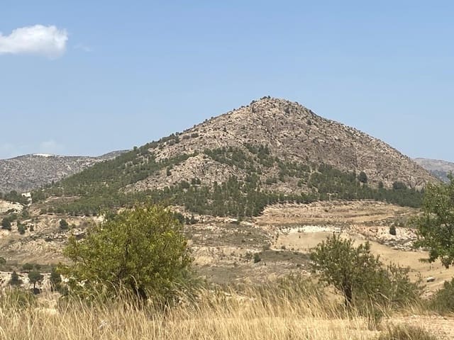 3 sypialnia Dom na sprzedaż w Vélez-Blanco - 79 000 € (Ref: 8070329)