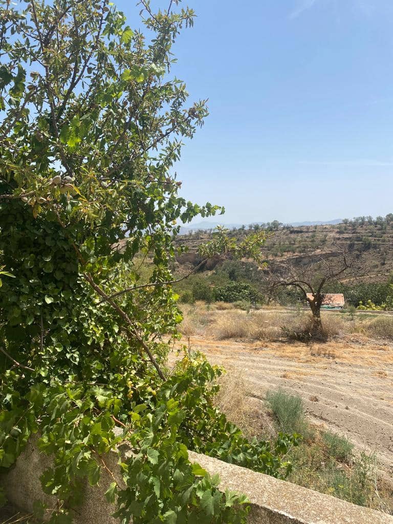 3 sypialnia Dom na sprzedaż w Velez-Blanco - 79 000 € (Ref: 8070329)