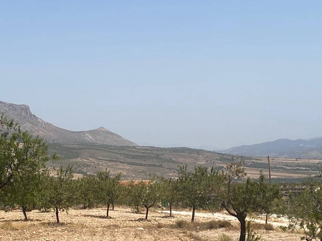 3 sypialnia Dom na sprzedaż w Velez-Blanco - 79 000 € (Ref: 8070329)