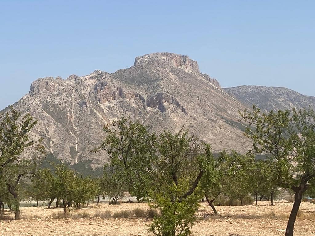 3 sypialnia Dom na sprzedaż w Velez-Blanco - 79 000 € (Ref: 8070329)