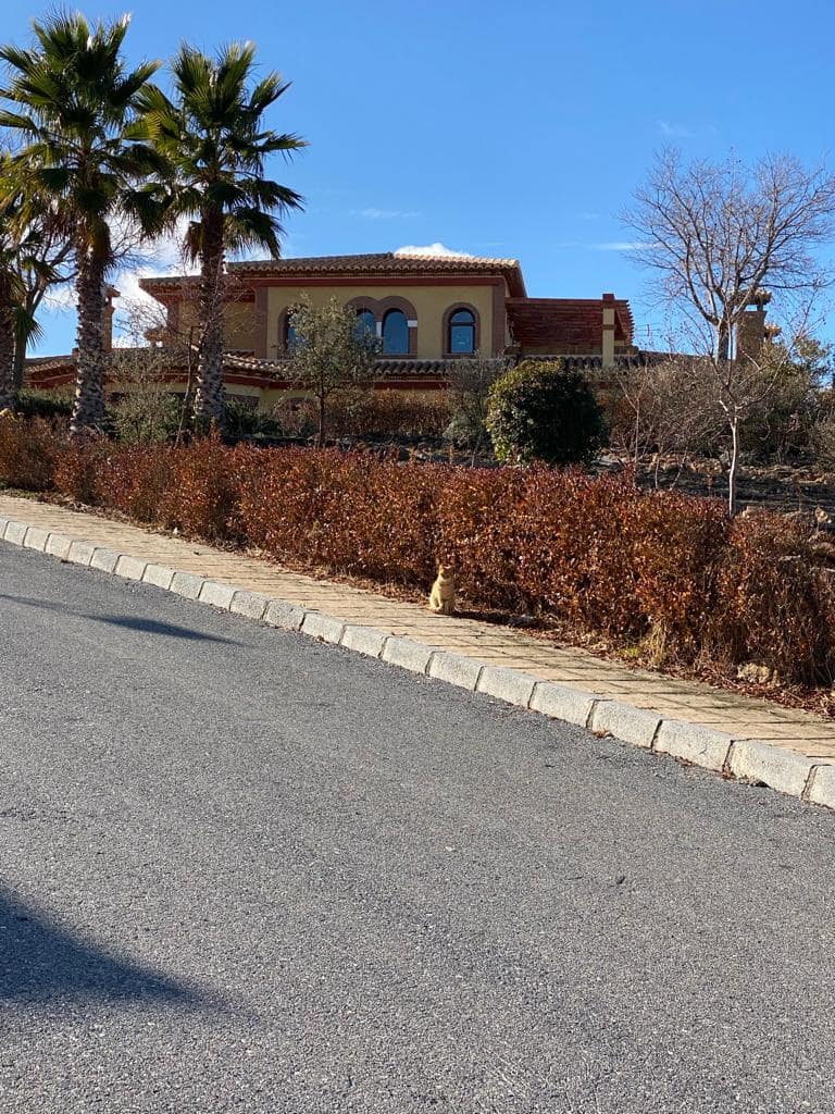 4 soveværelse Byhus til salg i Freila med garage - € 259.950 (Ref: 8070334)