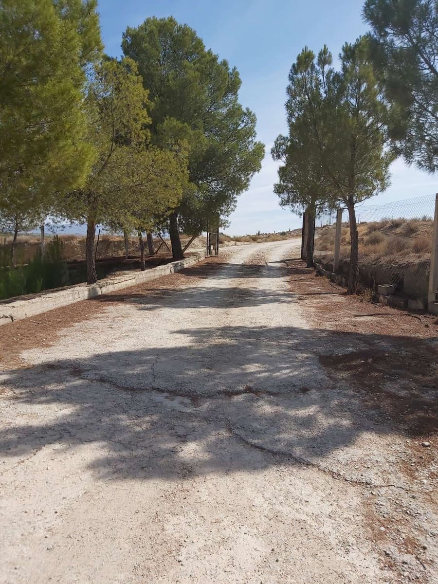 10 soverom Hus til salgs i Benamaurel med garasje - € 400 000 (Ref: 8210984)