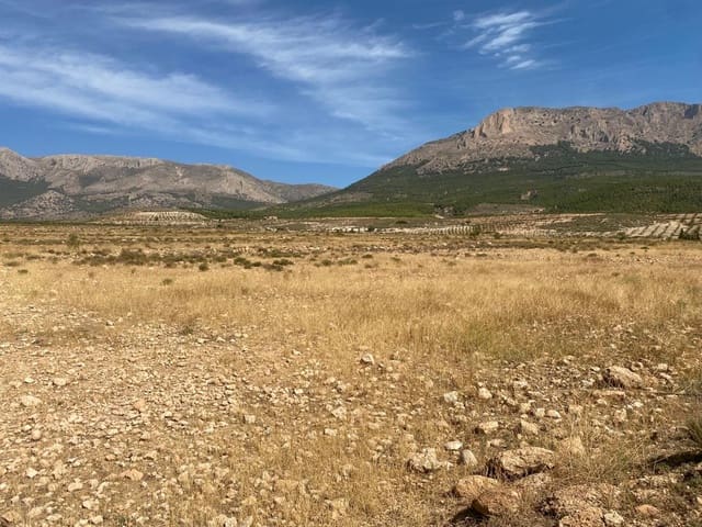 Byggegrund til salg i Vélez-Rubio - € 45.000 (Ref: 8210990)