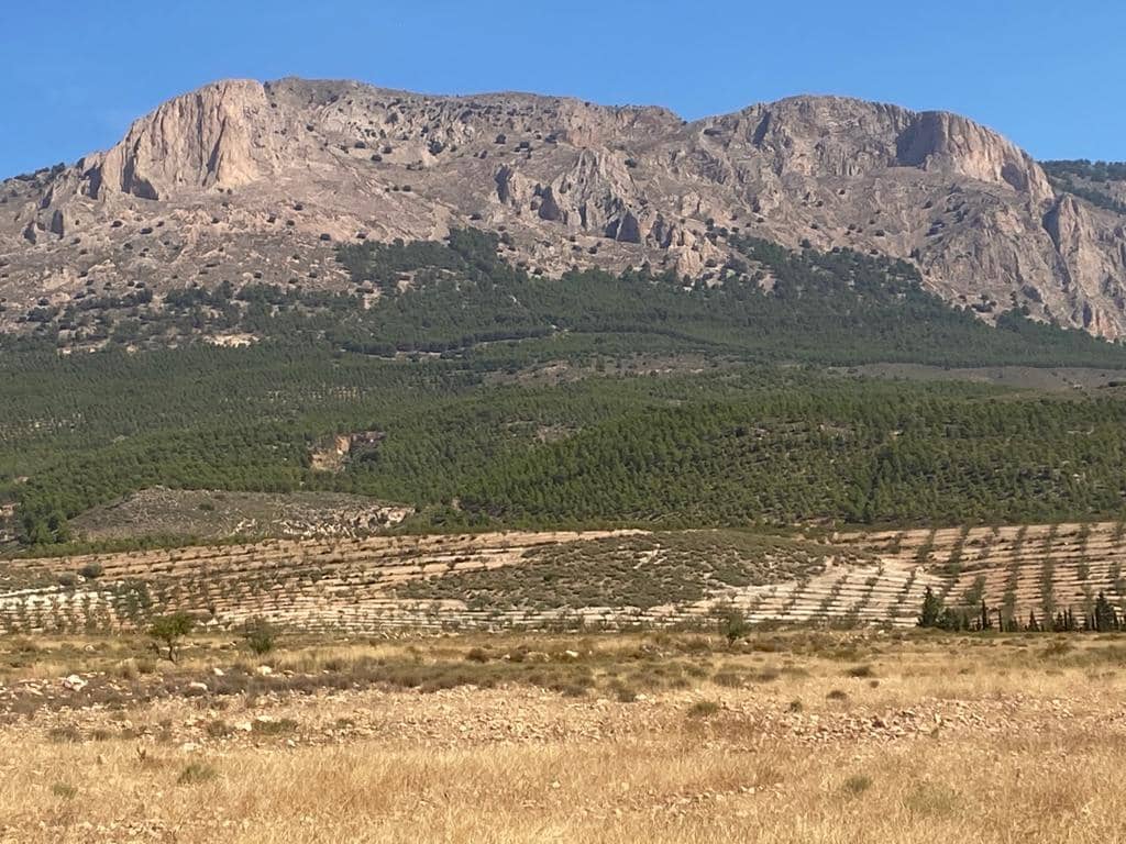 Działka budowlana na sprzedaż w Velez-Rubio - 45 000 € (Ref: 8210990)