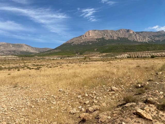 Byggegrund til salg i Vélez-Rubio - € 45.000 (Ref: 8210990)