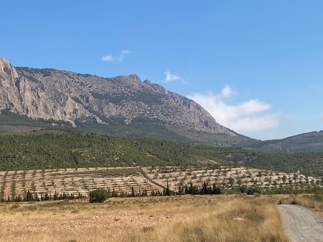 Byggegrund til salg i Vélez-Rubio - € 45.000 (Ref: 8210990)