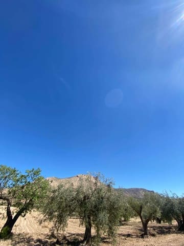 Building Plot for sale in Vélez-Blanco - € 55,000 (Ref: 8220262)