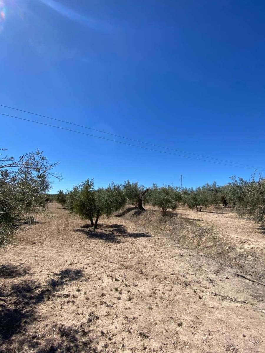 Bouwgrond te koop in Velez-Blanco - € 55.000 (Ref: 8220262)