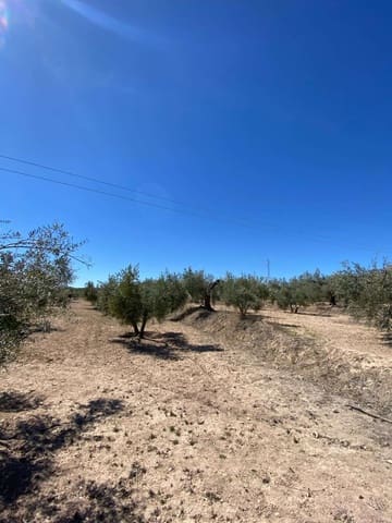 Building Plot for sale in Vélez-Blanco - € 55,000 (Ref: 8220262)