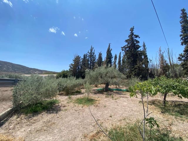 2 slaapkamer Finca/Landhuis te koop in Lorca - € 400.000 (Ref: 8359568)