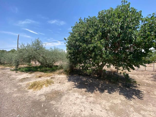 2 slaapkamer Finca/Landhuis te koop in Lorca - € 400.000 (Ref: 8359568)