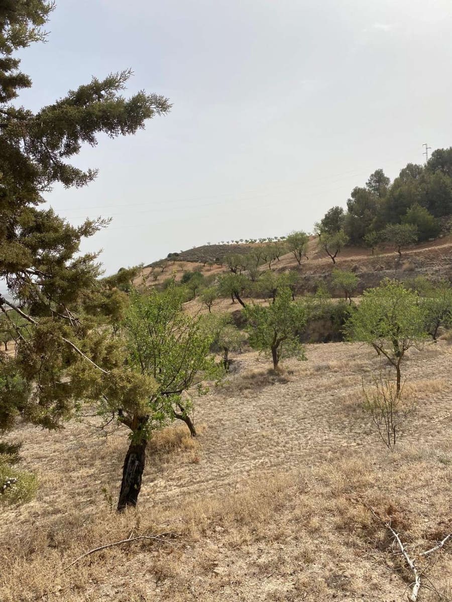 Byggetomt til salgs i Velez-Rubio - € 30 000 (Ref: 8398315)