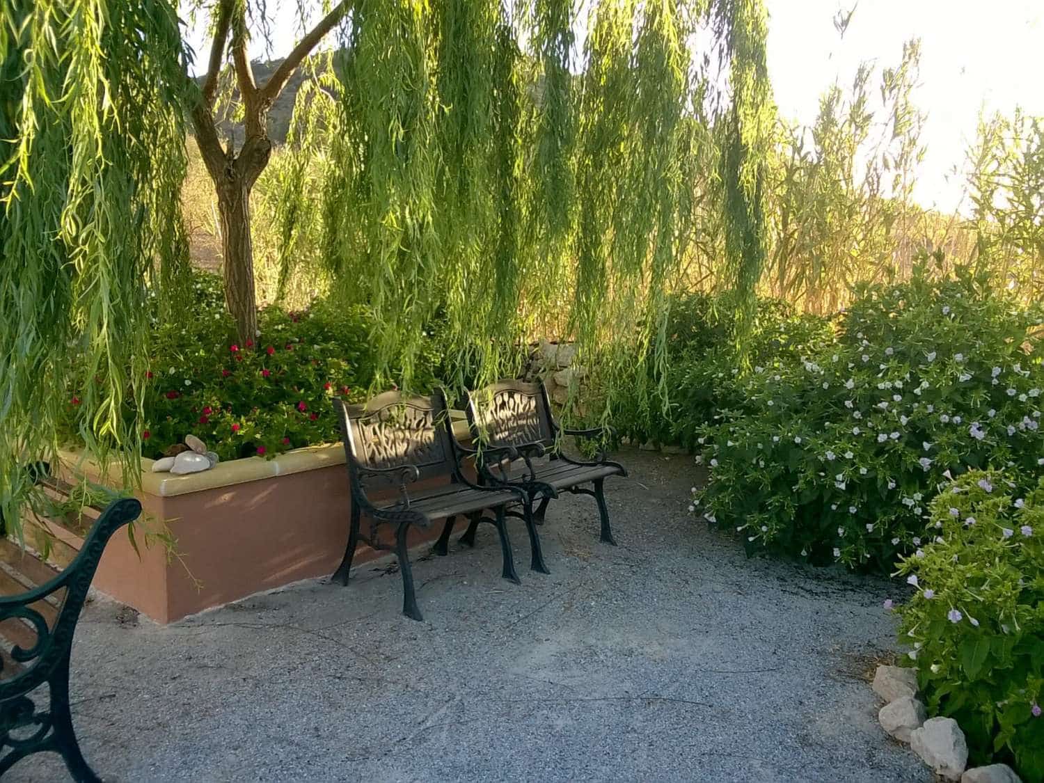 7 bedroom Townhouse for sale in Chirivel - € 280,000 (Ref: 8406997)