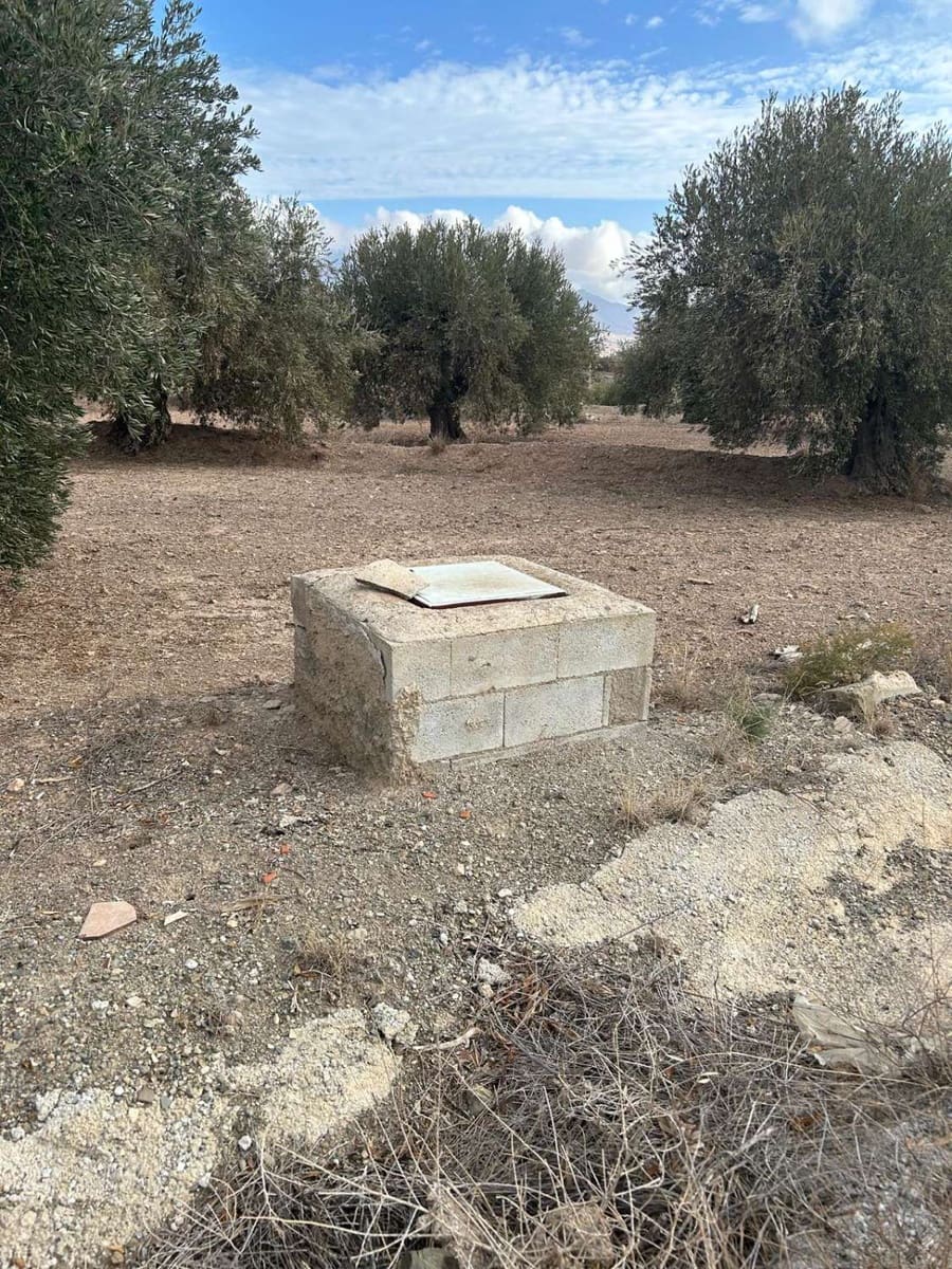 Bouwgrond te koop in Velez-Blanco - € 45.000 (Ref: 8636407)