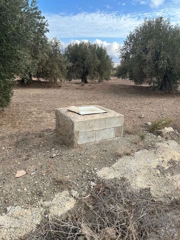 Building Plot for sale in Vélez-Blanco - € 45,000 (Ref: 8636407)