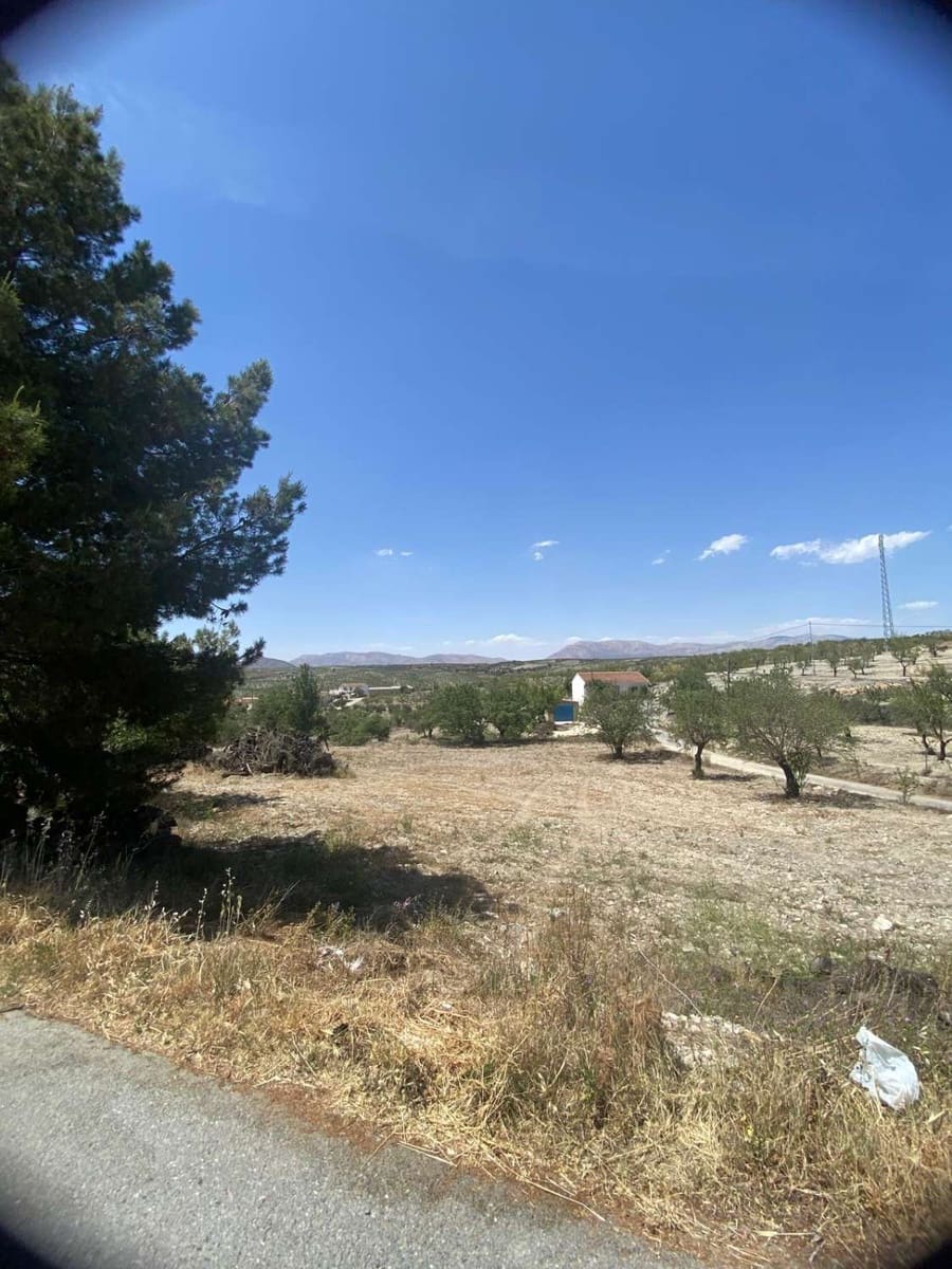 10 sovrum Hus till salu i Oria - 459 940 € (Ref: 8675642)