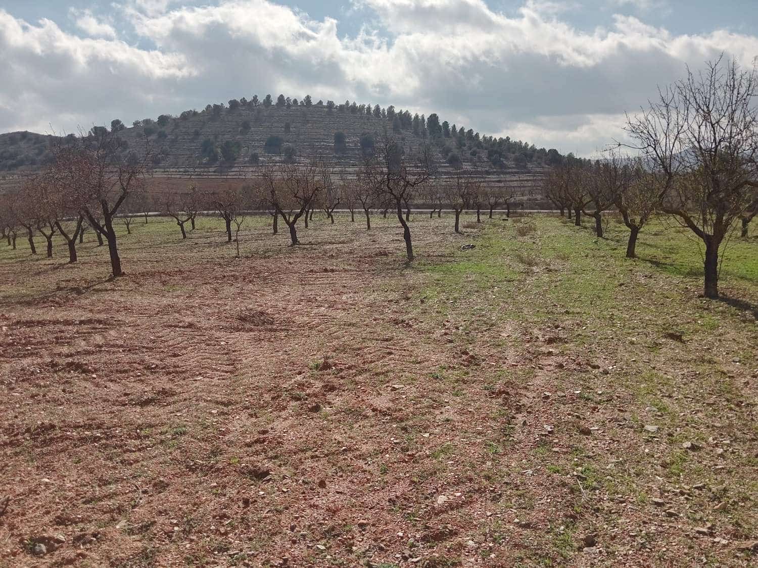 1 Zimmer Finca/Landgut zu verkaufen in Velez-Rubio - 83.000 € (Ref: 8754124)