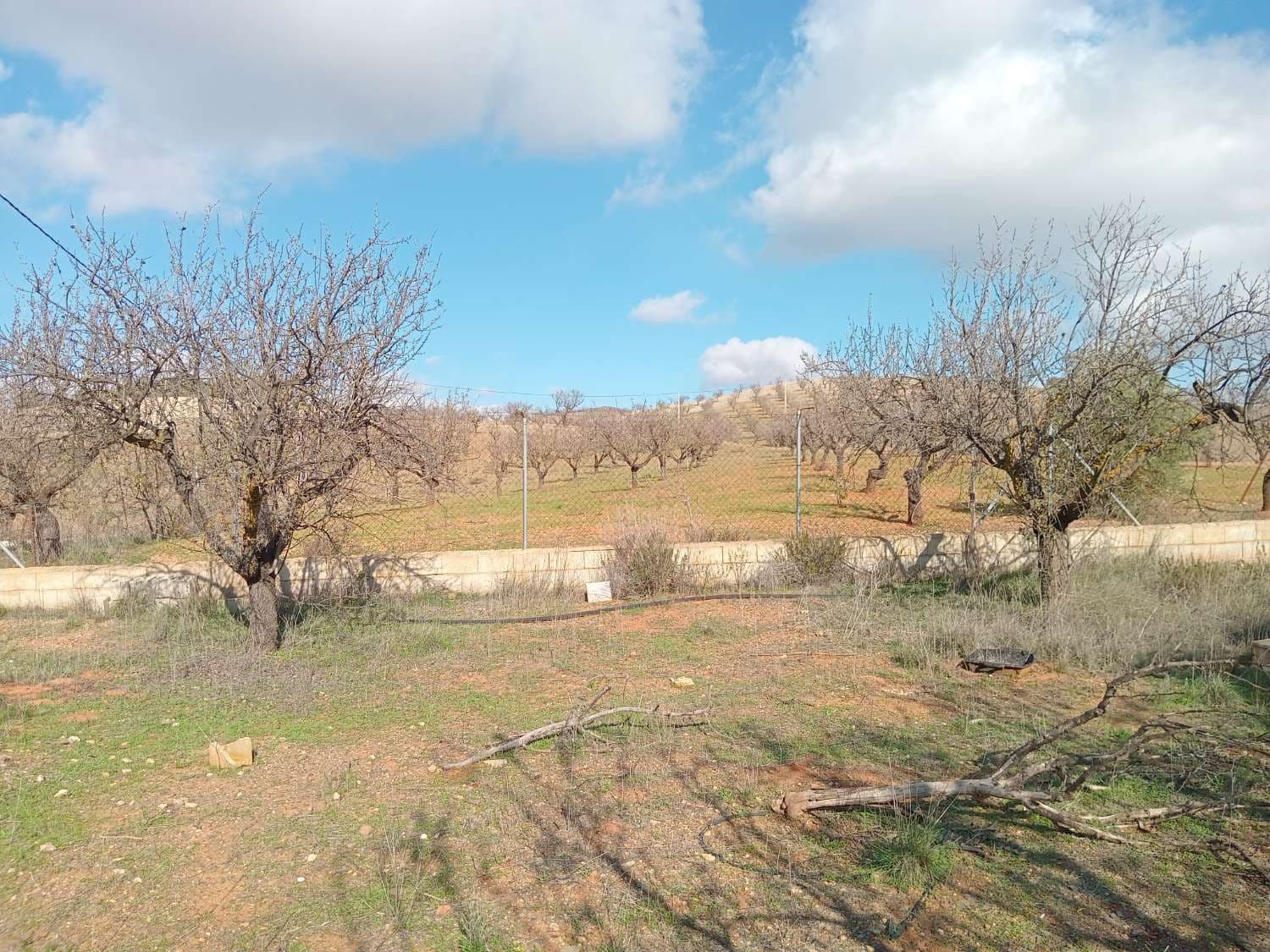 1 Zimmer Finca/Landgut zu verkaufen in Velez-Rubio - 83.000 € (Ref: 8754124)