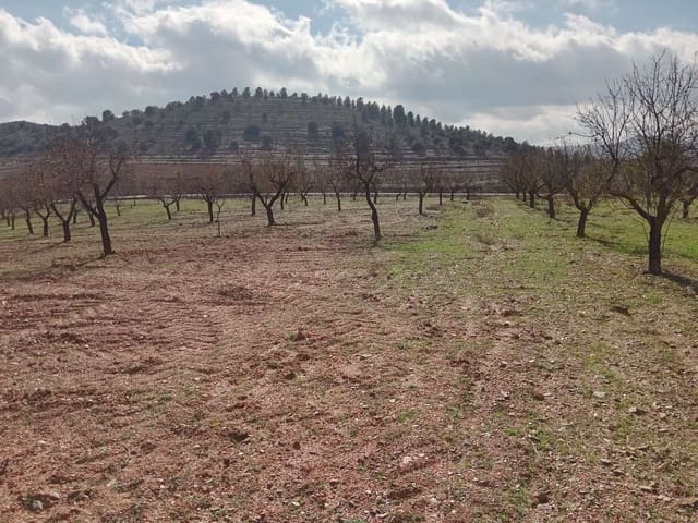 1 slaapkamer Finca/Landhuis te koop in Vélez-Rubio - € 83.000 (Ref: 8754124)