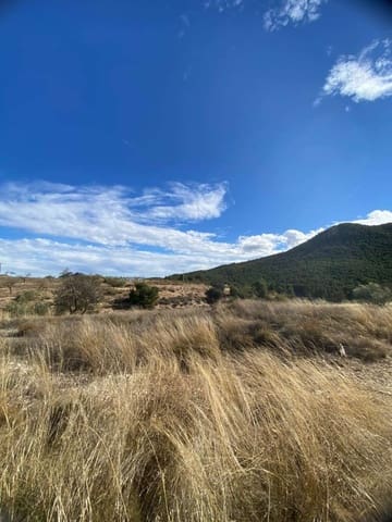 Finca/Hus på landet till salu i Vélez-Rubio - 60 000 € (Ref: 8783556)