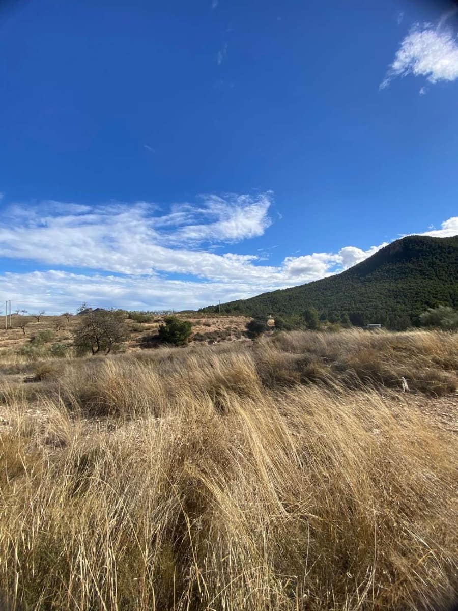 Finca/Hus på landet till salu i Velez-Rubio - 60 000 € (Ref: 8783556)