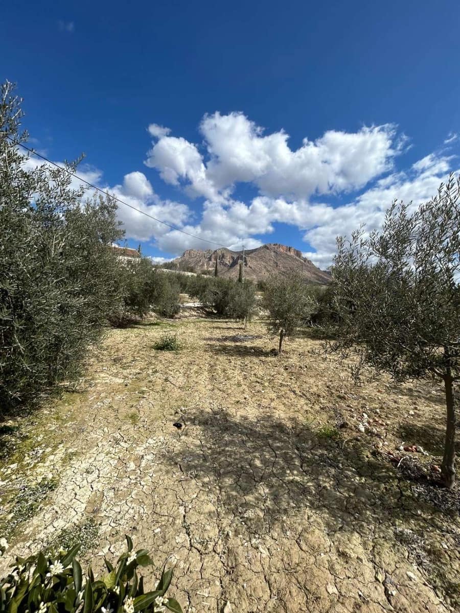 1 soveværelse Finca/Landehus til salg i Velez-Blanco - € 140.000 (Ref: 8932085)