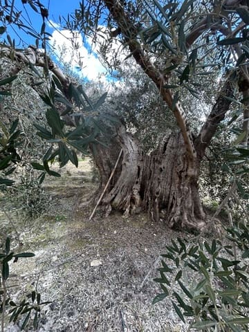 1 quarto Quinta/Casa Rural para venda em Vélez-Blanco - 140 000 € (Ref: 8932085)