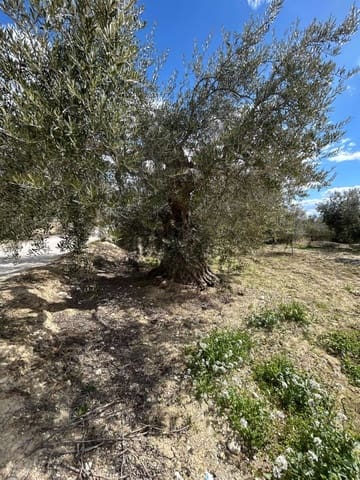 1 quarto Quinta/Casa Rural para venda em Vélez-Blanco - 140 000 € (Ref: 8932085)