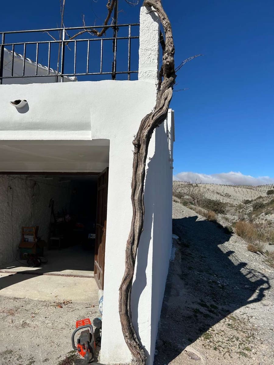 7 soveværelse Finca/Landehus til salg i Taberno med garage - € 135.000 (Ref: 8950424)