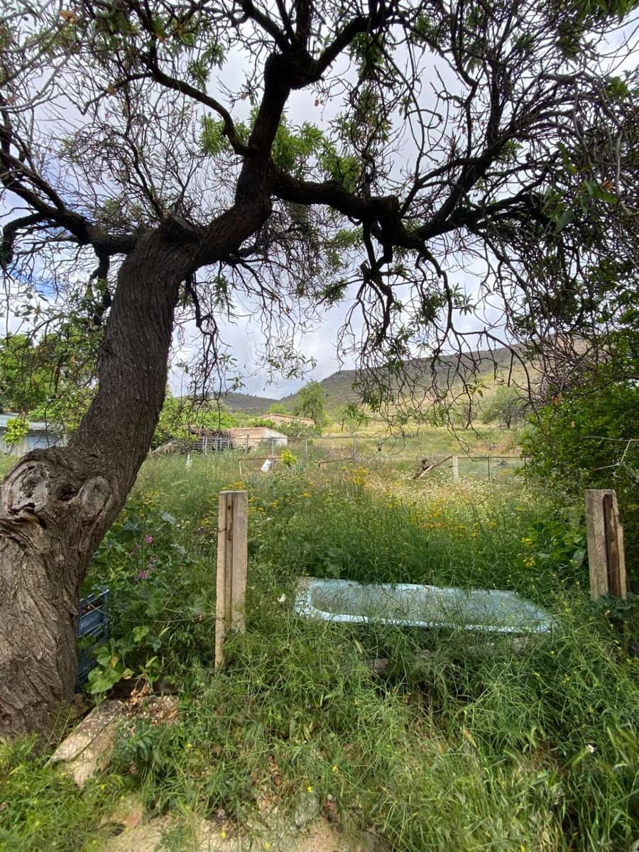 5 chambre Maison de Ville à vendre à Oria - 135 000 € (Ref: 8985772)