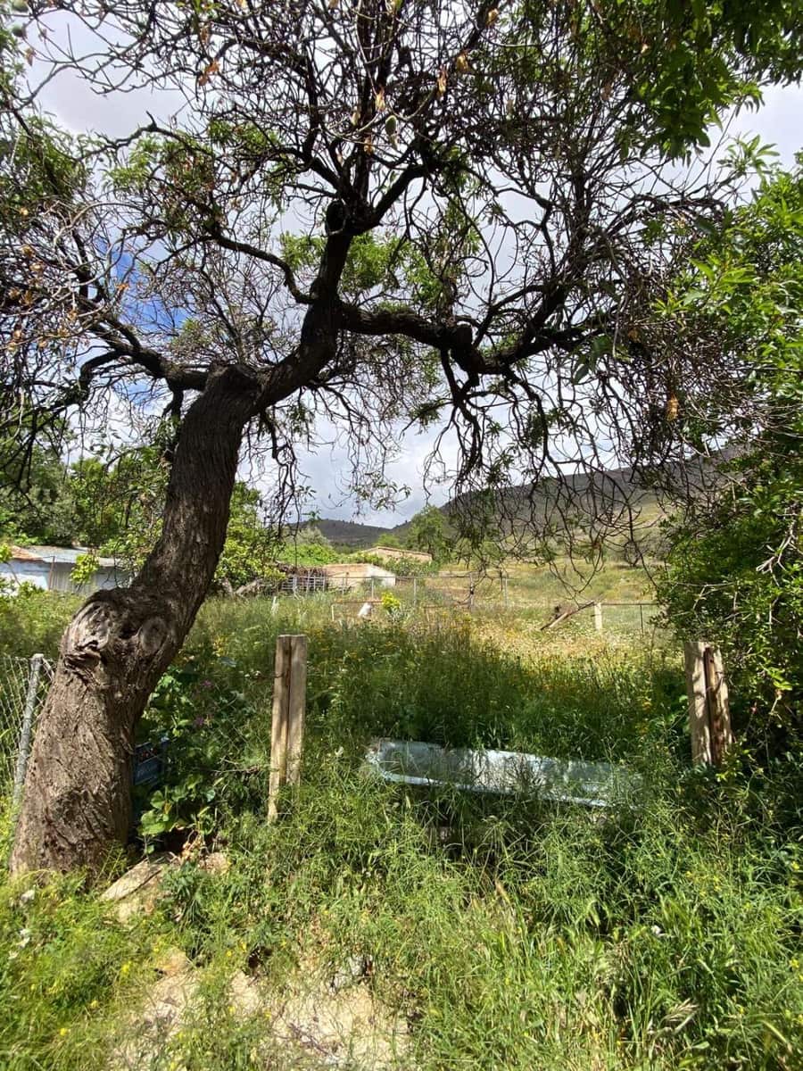 5 chambre Maison de Ville à vendre à Oria - 135 000 € (Ref: 8985772)