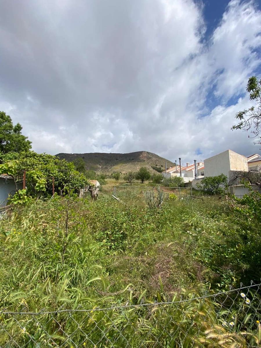 5 chambre Maison de Ville à vendre à Oria - 135 000 € (Ref: 8985772)