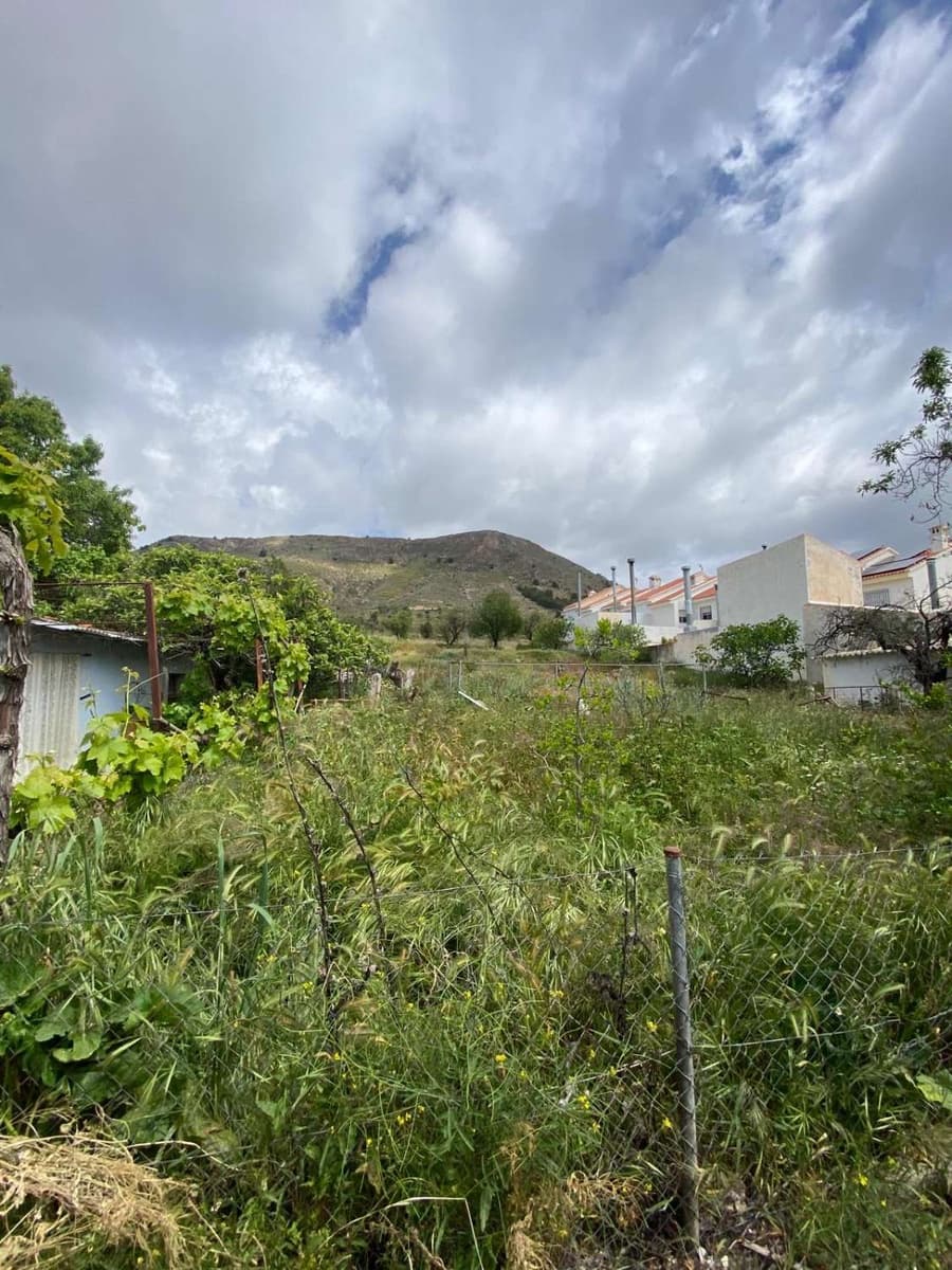 5 chambre Maison de Ville à vendre à Oria - 135 000 € (Ref: 8985772)