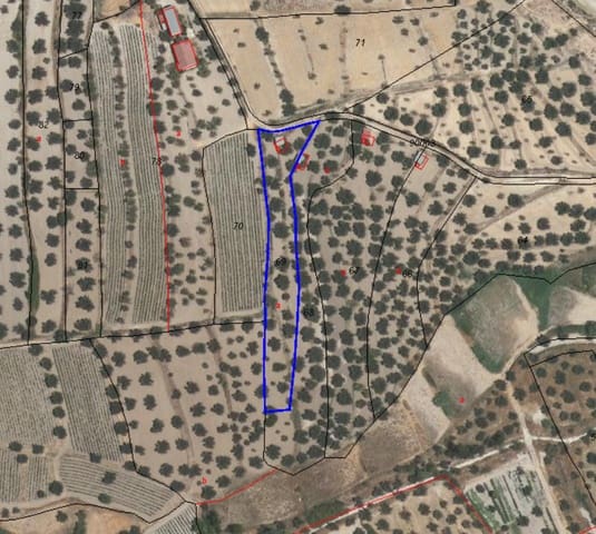 Building Plot for sale in Vélez-Blanco - € 9,950 (Ref: 9134105)