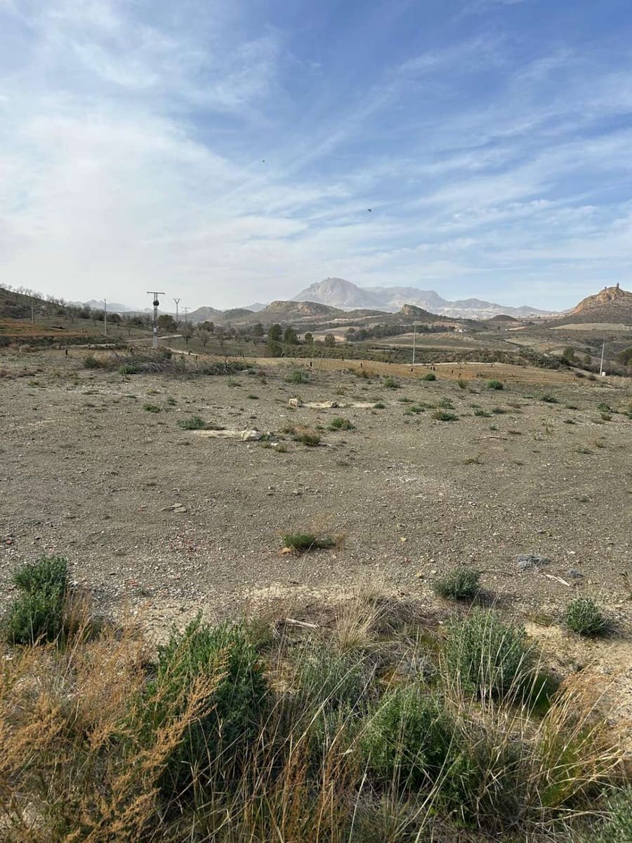 3 slaapkamer Finca/Landhuis te koop in Lorca - € 95.000 (Ref: 9134113)