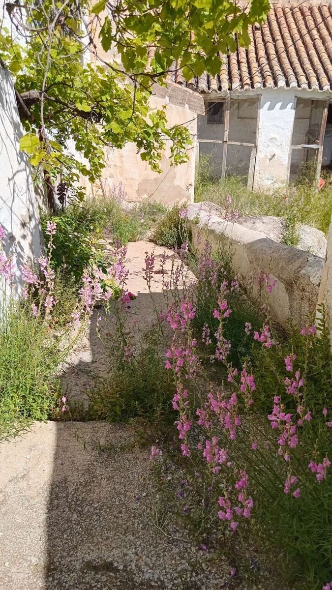 6 sypialnia Dom na sprzedaż w Velez-Blanco - 130 000 € (Ref: 9146955)