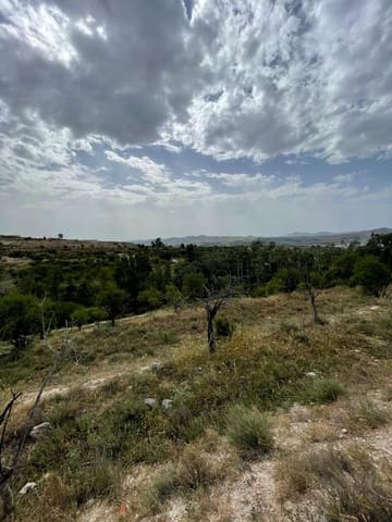 Building Plot for sale in Vélez-Blanco - € 15,000 (Ref: 9146956)